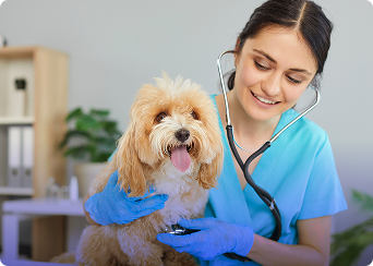 Medicina Veterinária